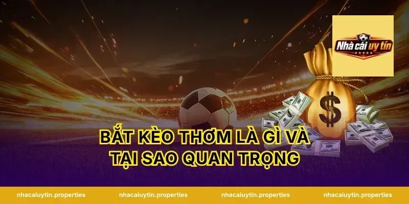 Bắt Kèo Thơm Là Gì Và Tại Sao Quan Trọng