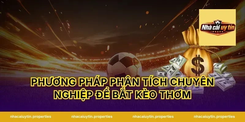 Phương Pháp Phân Tích Chuyên Nghiệp Để Bắt Kèo Thơm
