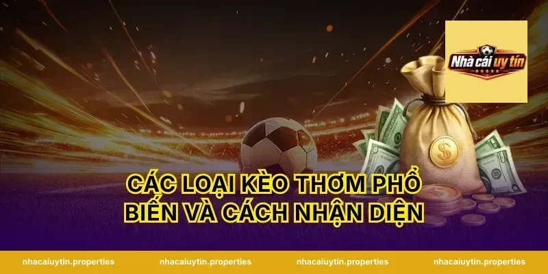 Các Loại Kèo Thơm Phổ Biến Và Cách Nhận Diện