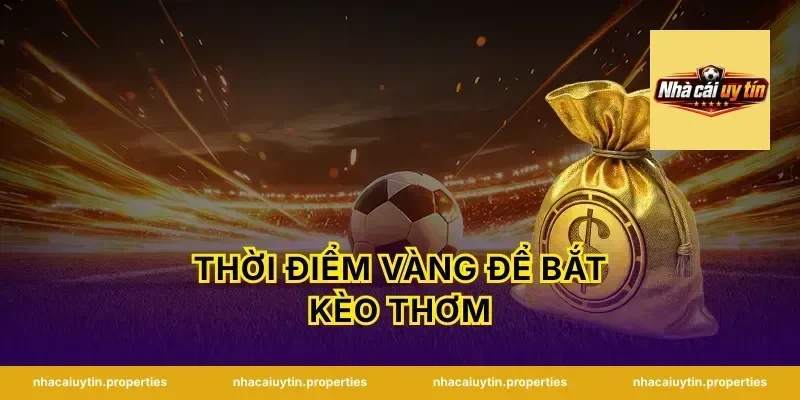 Thời Điểm Vàng Để Bắt Kèo Thơm