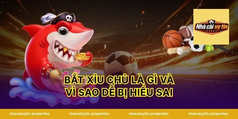 bắt xỉu chủ là gì và vì sao dễ bị hiểu sai