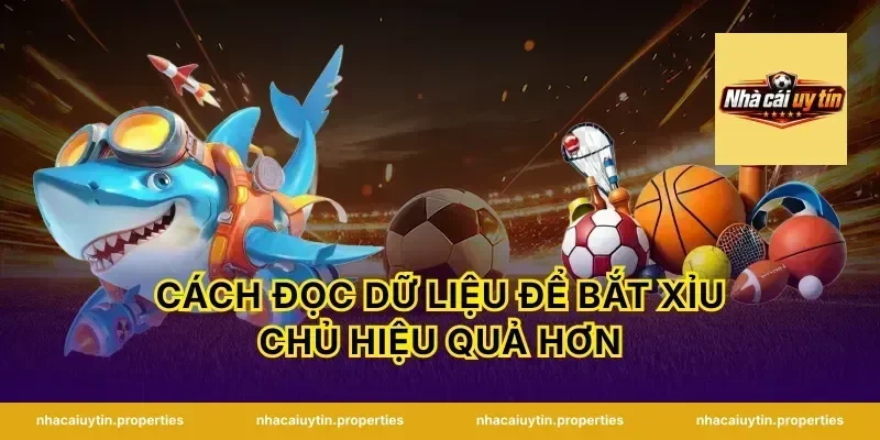 Cách đọc dữ liệu để bắt xỉu chủ hiệu quả hơn