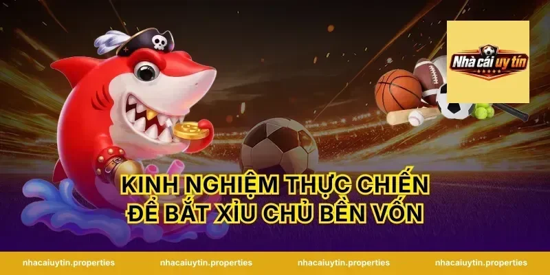 Kinh nghiệm thực chiến để bắt xỉu chủ bền vốn
