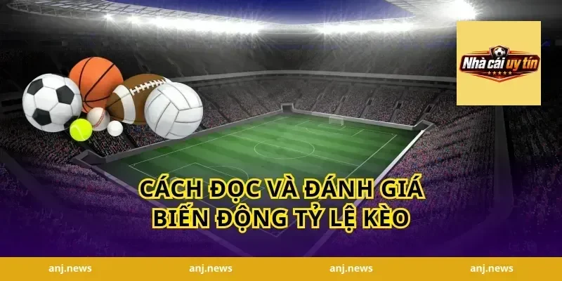 cách đọc và đánh giá biến động tỷ lệ kèo