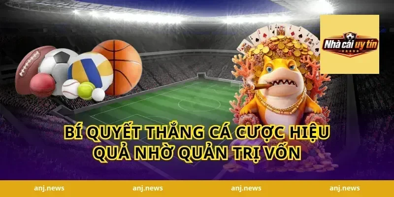 bí quyết thắng cá cược hiệu quả nhờ quản trị vốn