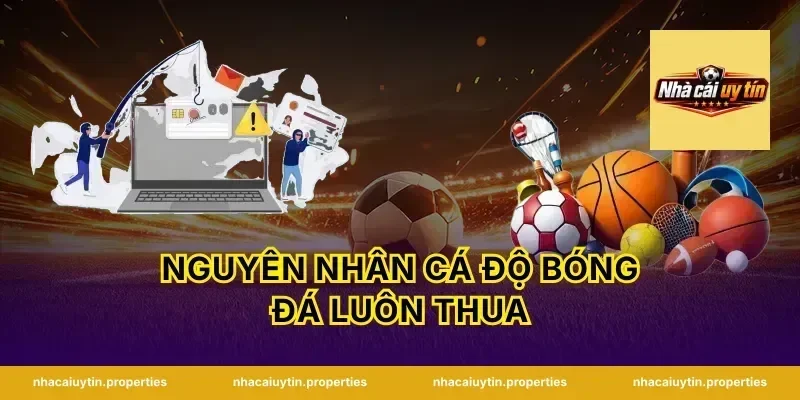 Nguyên Nhân Cá Độ Bóng Đá Luôn Thua