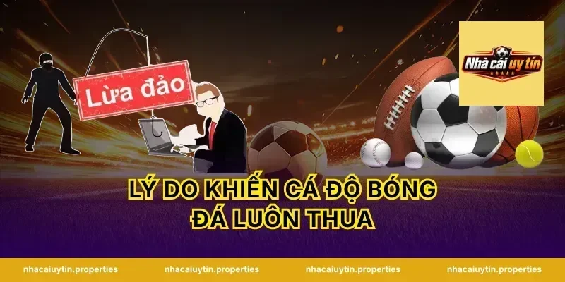 Lý Do Khiến Cá Độ Bóng Đá Luôn Thua