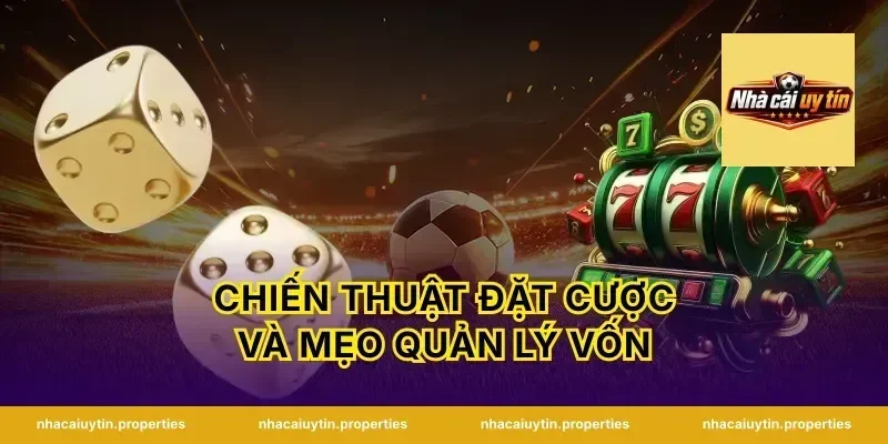 Chiến thuật đặt cược và mẹo quản lý vốn