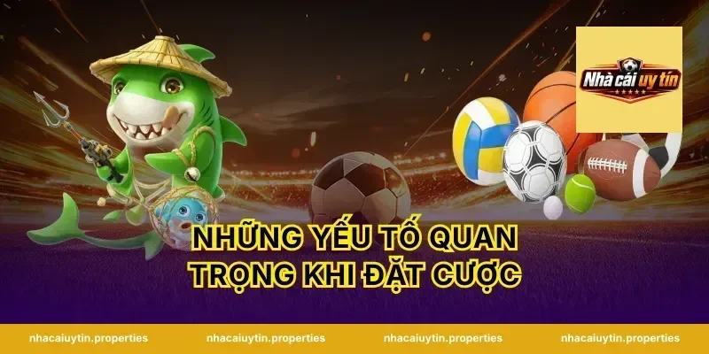 Những Yếu Tố Quan Trọng Khi Đặt Cược
