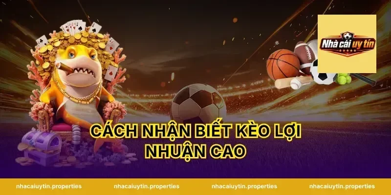 Cách Nhận Biết Kèo Lợi Nhuận Cao