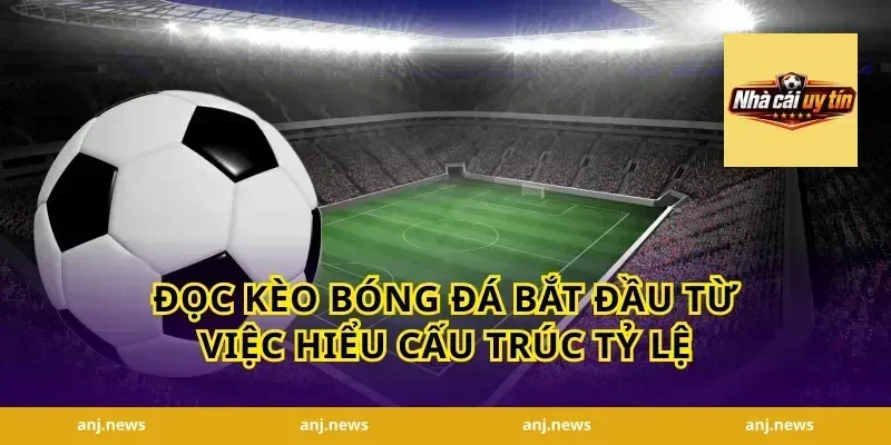 đọc kèo bóng đá bắt đầu từ việc hiểu cấu trúc tỷ lệ