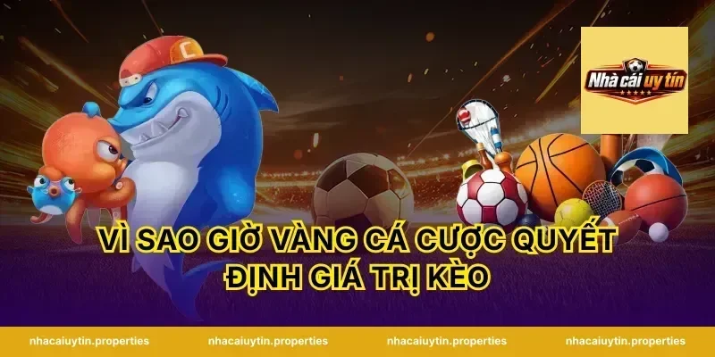 Vì sao giờ vàng cá cược quyết định giá trị kèo