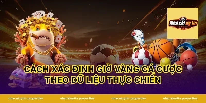 Cách xác định giờ vàng cá cược theo dữ liệu thực chiến
