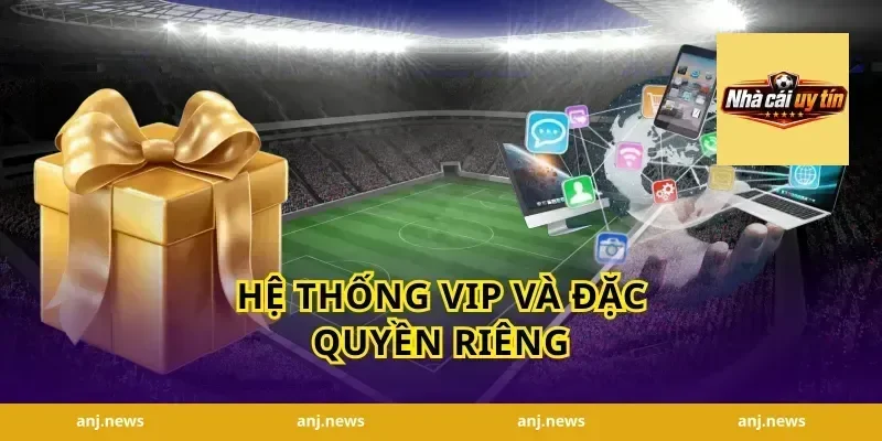 Hệ Thống VIP Và Đặc Quyền Riêng