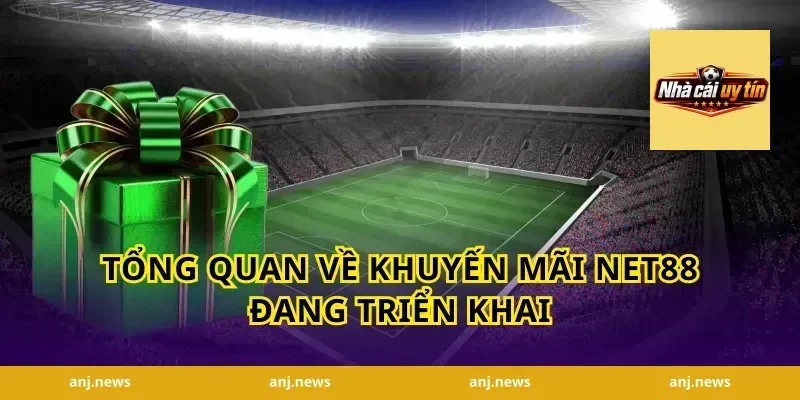Tổng Quan Về Khuyến Mãi Net88 Đang Triển Khai