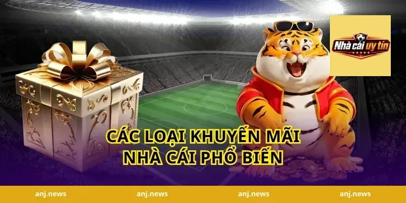 Các loại khuyến mãi nhà cái phổ biến