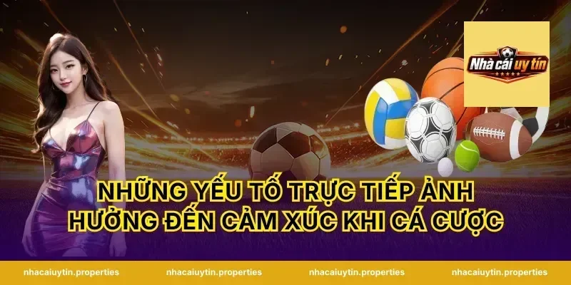 Những Yếu Tố Trực Tiếp Ảnh Hưởng Đến Cảm Xúc Khi Cá Cược