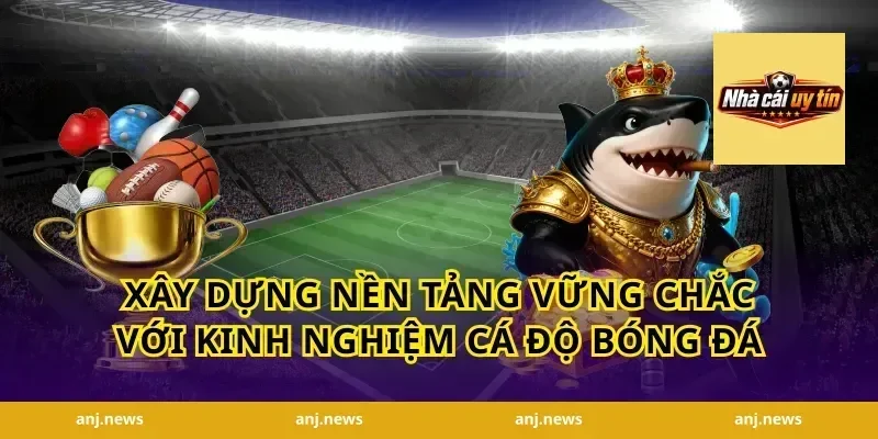 Xây dựng nền tảng vững chắc với kinh nghiệm cá độ bóng đá