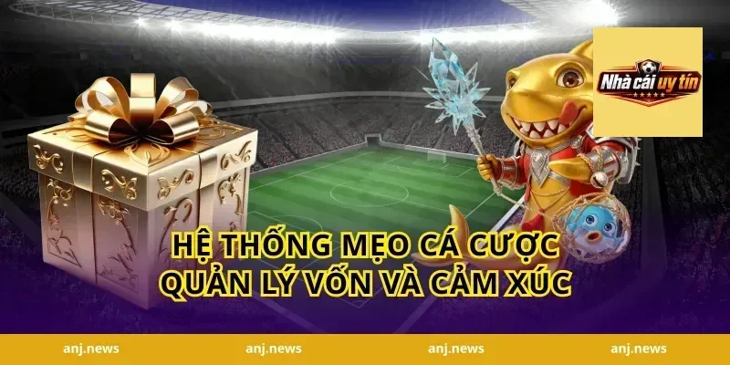 Hệ thống mẹo cá cược quản lý vốn và cảm xúc