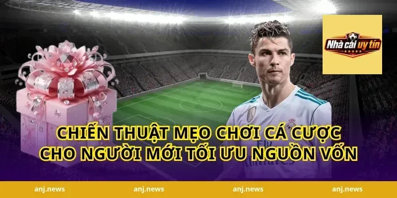 Chiến thuật mẹo chơi cá cược cho người mới tối ưu nguồn vốn