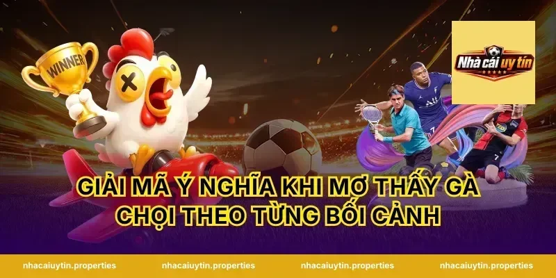 Giải mã ý nghĩa khi mơ thấy gà chọi theo từng bối cảnh
