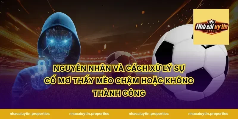 Nguyên nhân và cách xử lý sự cố mơ thấy mèo chậm hoặc không thành công