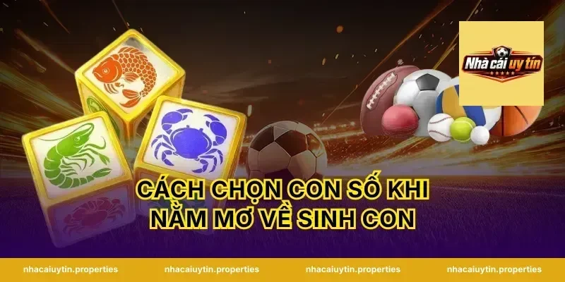 Cách Chọn Con Số Khi Nằm Mơ Về Sinh Con