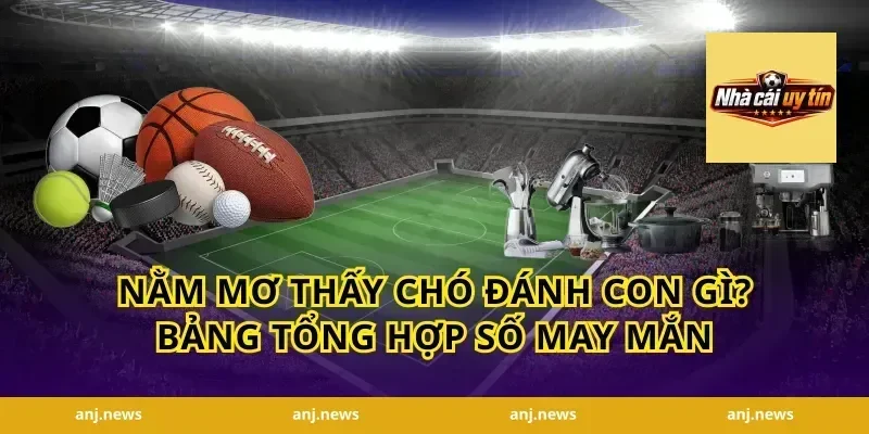 Nằm mơ thấy chó đánh con gì? Bảng tổng hợp số may mắn