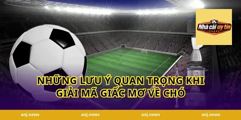 Những lưu ý quan trọng khi giải mã giấc mơ về chó