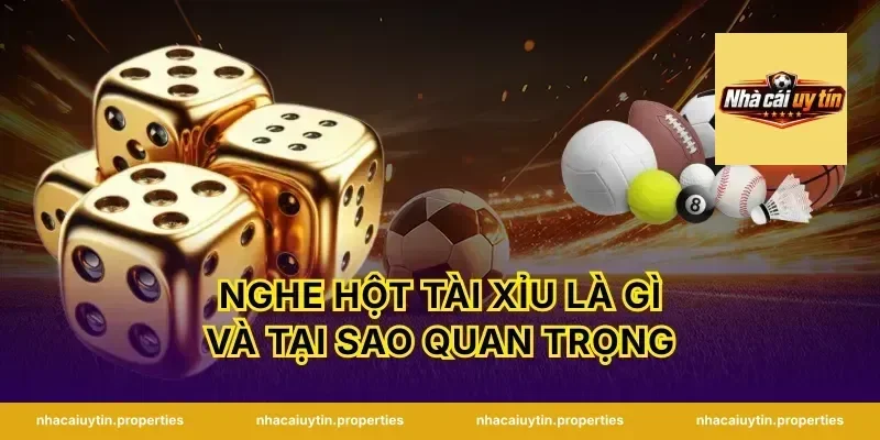 Nghe Hột Tài Xỉu Là Gì Và Tại Sao Quan Trọng