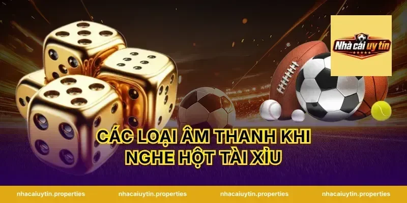 Các Loại Âm Thanh Khi Nghe Hột Tài Xỉu