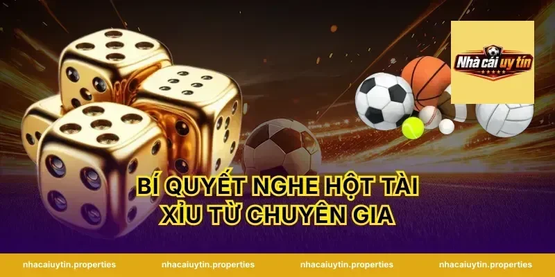 Bí Quyết Nghe Hột Tài Xỉu Từ Chuyên Gia