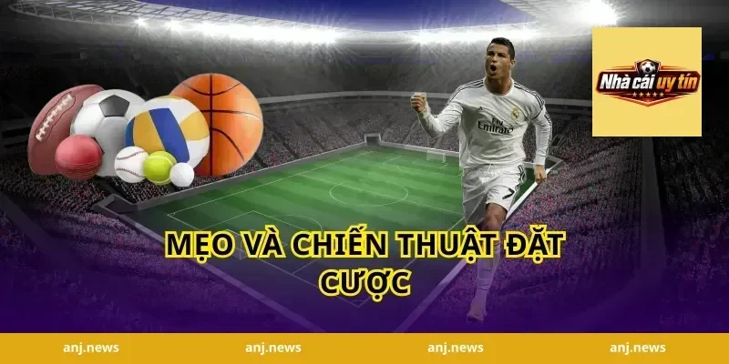 Mẹo và chiến thuật đặt cược
