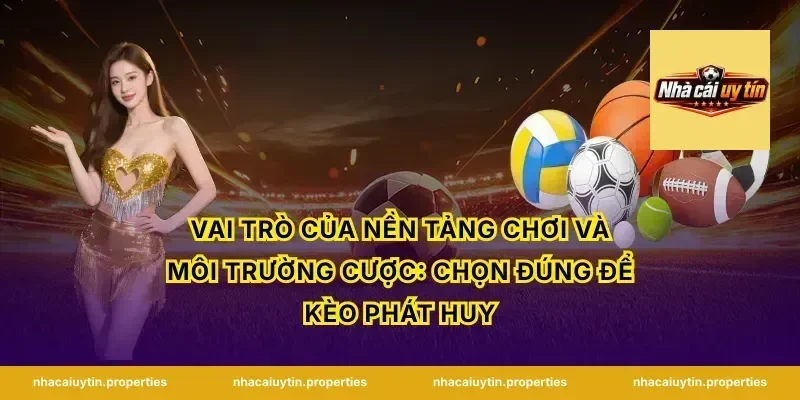 Vai trò của nền tảng chơi và môi trường cược: chọn đúng để kèo phát huy
