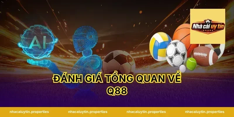 Đánh Giá Tổng Quan Về Q88