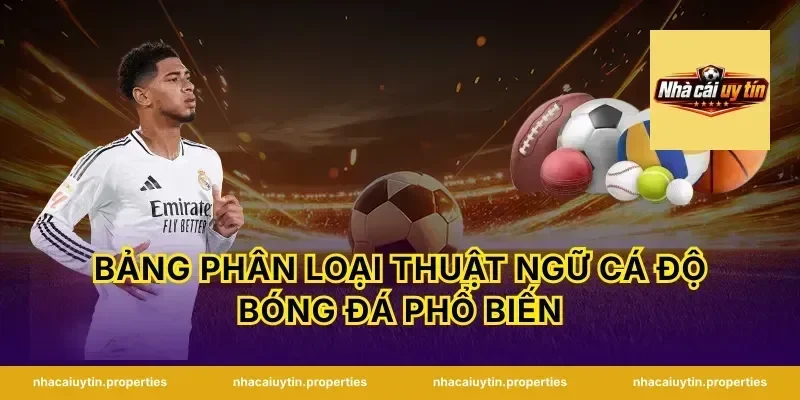 Bảng Phân Loại Thuật Ngữ Cá Độ Bóng Đá Phổ Biến