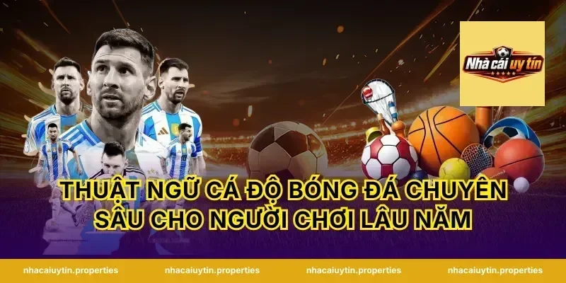 Thuật Ngữ Cá Độ Bóng Đá Chuyên Sâu Cho Người Chơi Lâu Năm