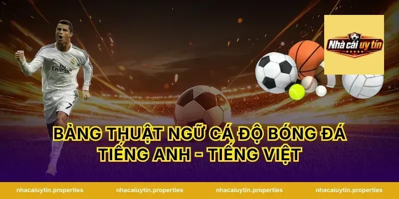 Bảng Thuật Ngữ Cá Độ Bóng Đá Tiếng Anh - Tiếng Việt