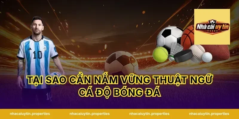 Tại Sao Cần Nắm Vững Thuật Ngữ Cá Độ Bóng Đá